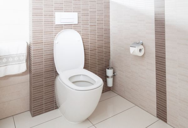 Toilet Moving